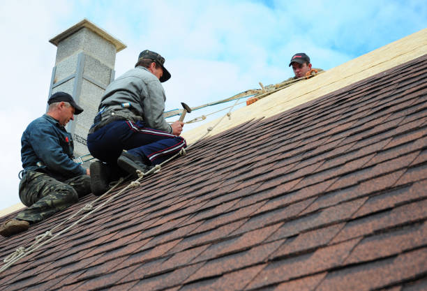 Best Roof Restoration Services  in Byng, OK